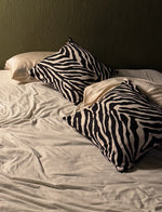 Pillow Cover (set 2)