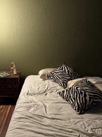 Pillow Cover (set 2)